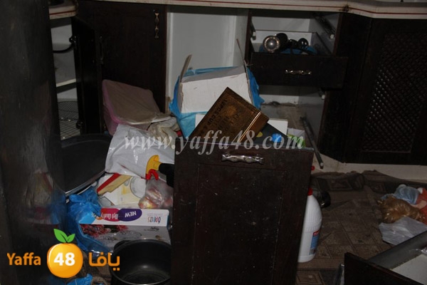 modahama lud 0216 (3).JPG